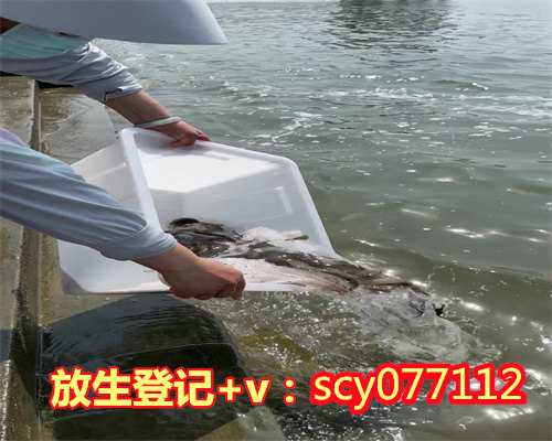 黑龙江地区放生红鲤鱼，黑龙江省绥化市男居士征婚