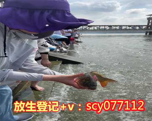 杭州水库放生,杭州放生鱼数量单好或双好,放生泥鳅不走什么意思