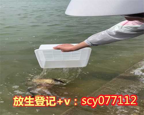 台州放生大甲鱼,台州市区哪里可以放生财鱼,台州适合放生的地方