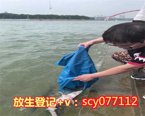 南昌哪里放生鱼最安全的，首届中国曹洞宗禅学国际研讨会新闻发布会在南昌举
